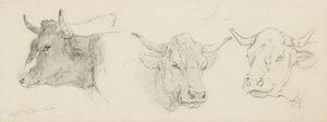 Study of Cattle for Sheep Shearing, 1872-77